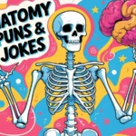 Anatomy Puns & Jokes