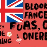 Funny Flag Puns & Jokes