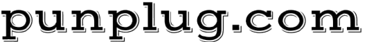 Punplug Logo